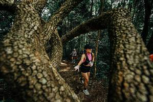 BIB: 
                            <button type="button" onclick="openModal(25701878)" class="btn btn-primary btn-sm float-right btn-popup" data-toggle="modal" data-target=".modal-high-quality">
                        <i class="fas fa-shopping-cart"></i> Add to Cart
                    </button>
                                            <button type="button" onclick="isThisMe(25701878, true)" class="btn btn-success btn-sm float-right btn-popup btn-isme hidden" data-toggle="tooltip" data-placement="bottom" title="นี่คือรูปของคุณใช่ไหม คลิกที่นี่เพื่อเอาเข้าอัลบั้ม">
                        <i class="fas fa-plus"></i> Add to album
                    </button>
                    <button type="button" onclick="isThisMe(25701878, false)" class="btn btn-warning btn-sm float-right btn-popup btn-isnotme hidden">
                        <i class="fas fa-ban"></i> Remove from album
                    </button>